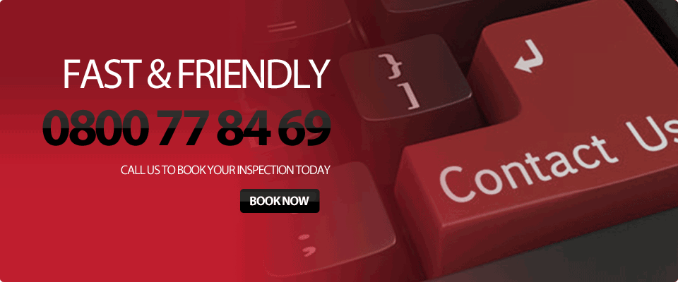 FAST & FRIENDLY